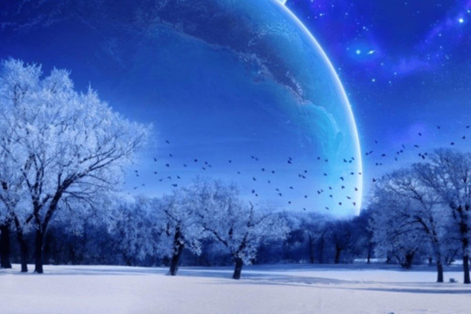 Nicola Giacobbe Shares his Sonic Diaries Through Two Immersive Albums