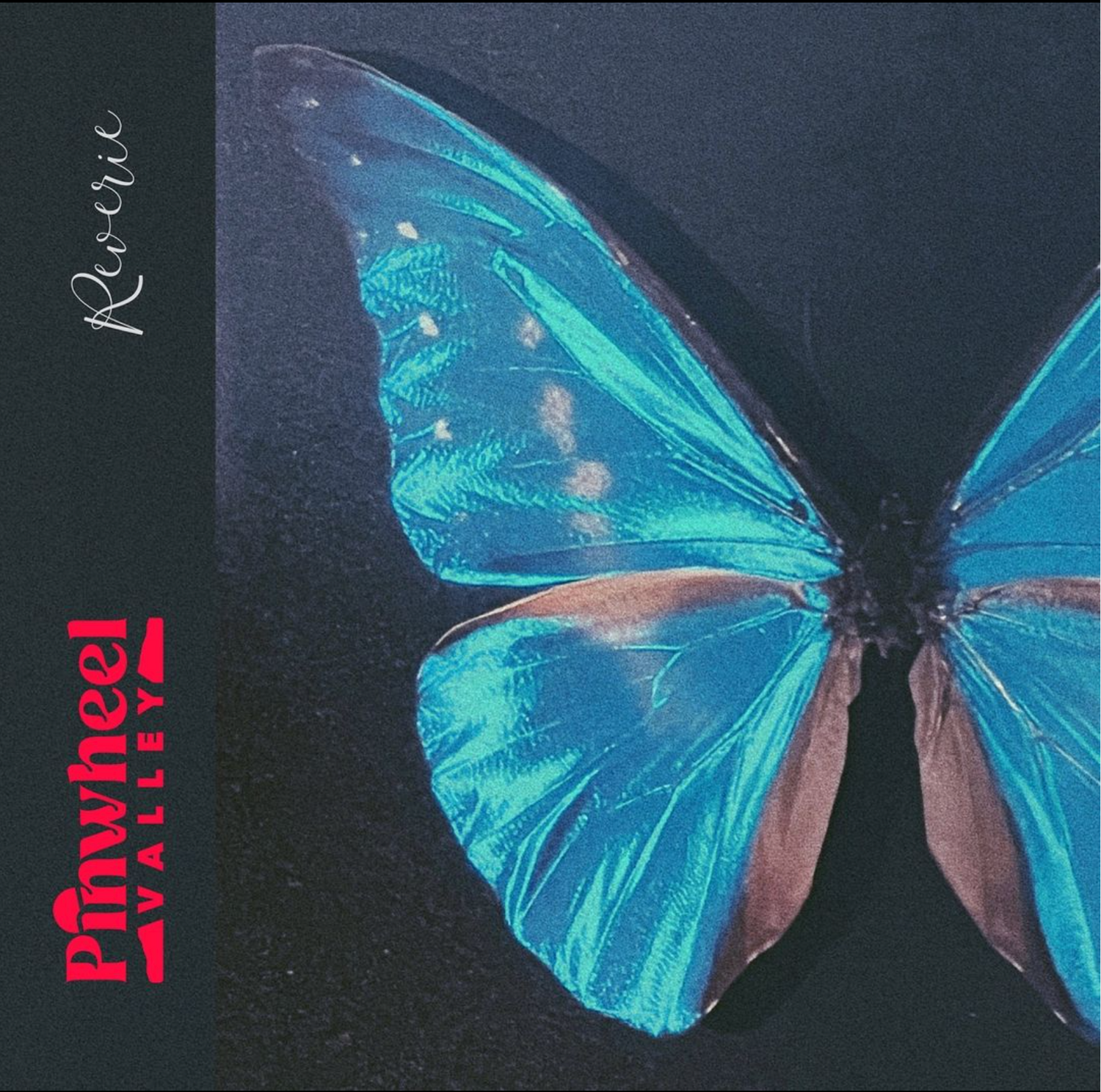 Pinwheel Valley's 'Reverie' Arrives As A Soulful Ode to Love, Loss, and Reconciliation