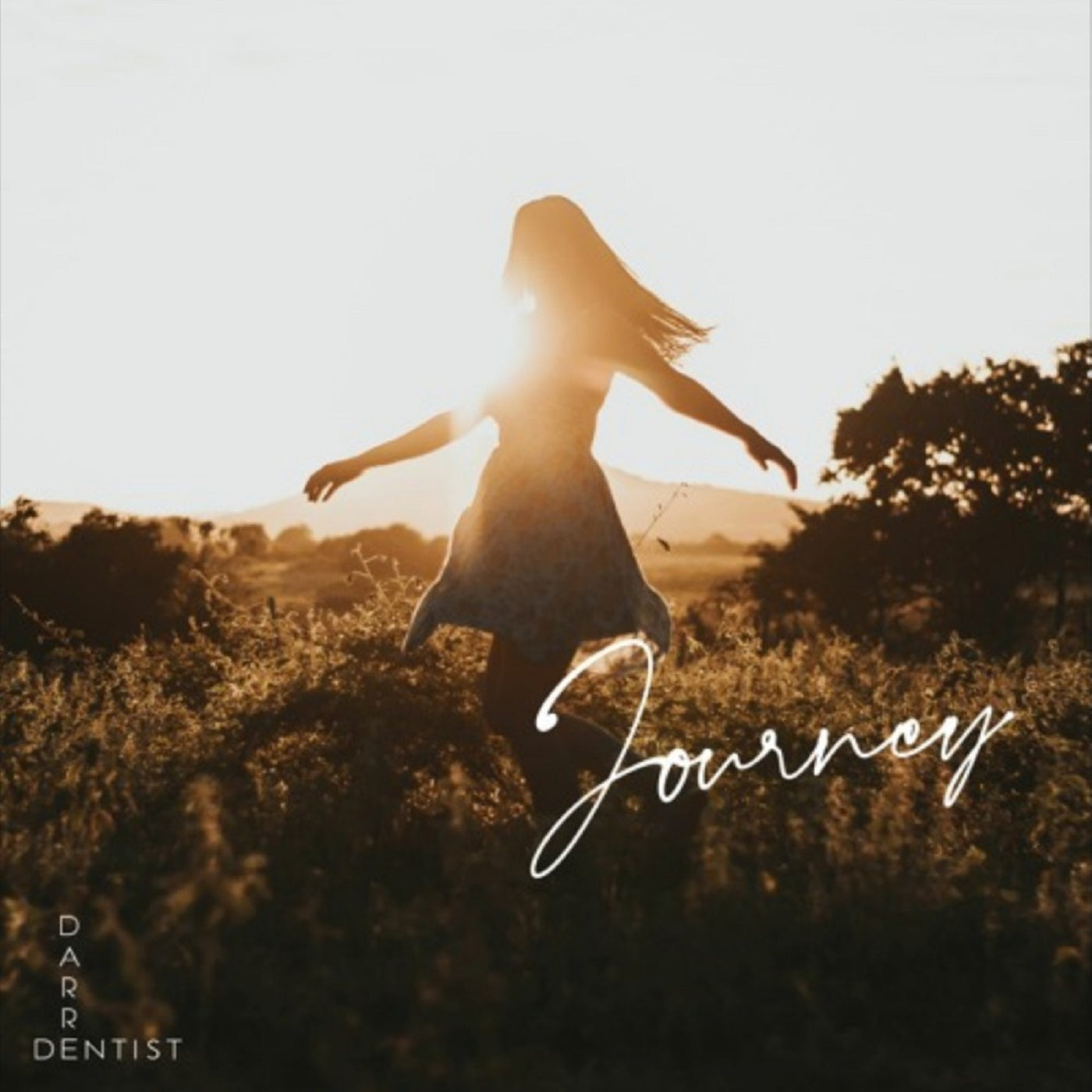 DarreDentist – ‘Journey’