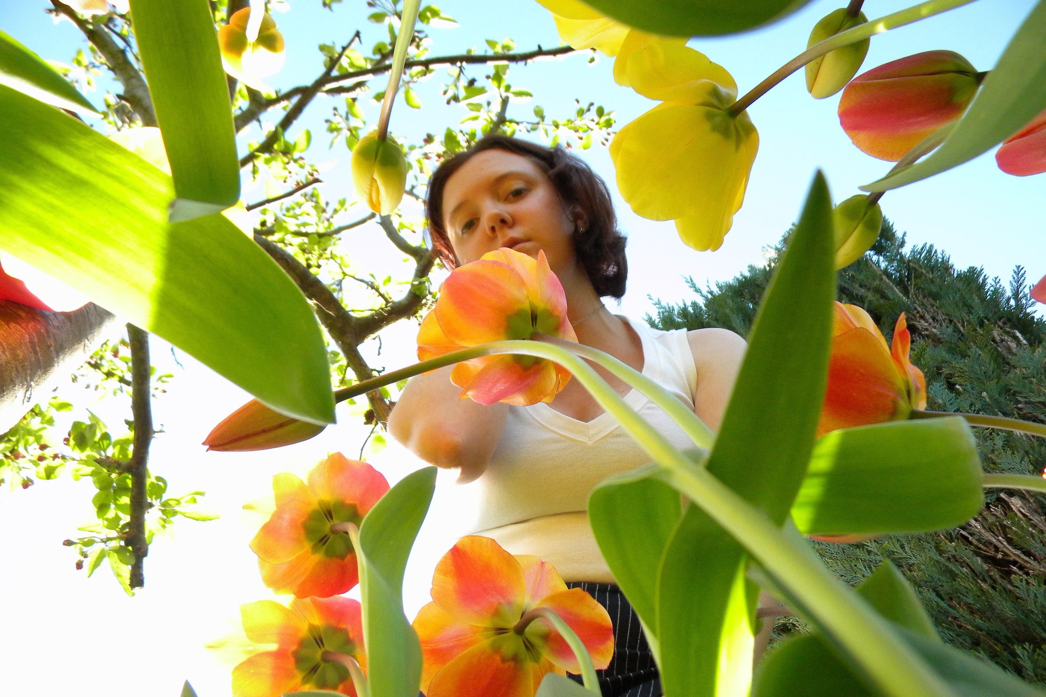 Olivia Miceli Previews New LP With The Vibrant 'Everybody Wants Him'