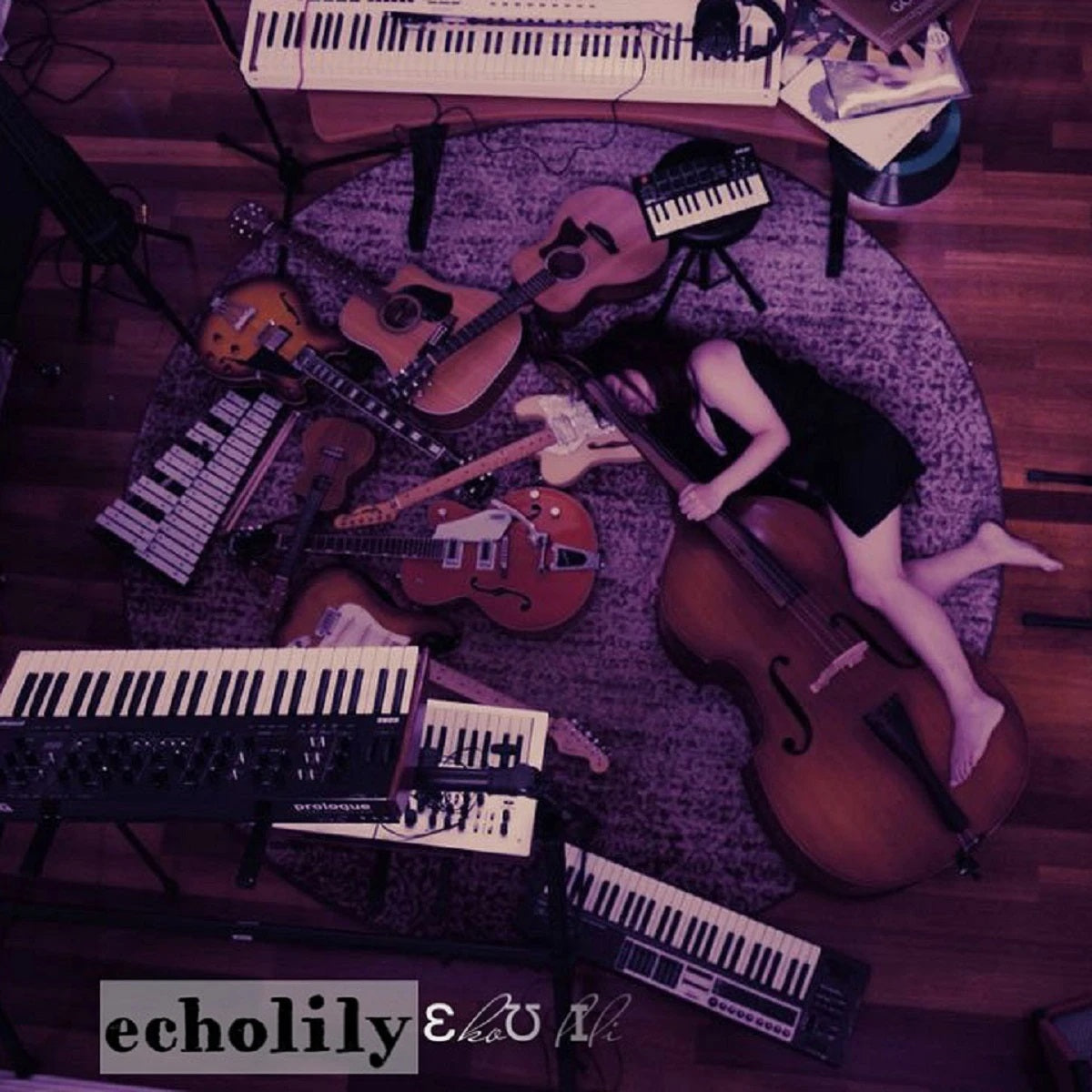 An Interview with echolily