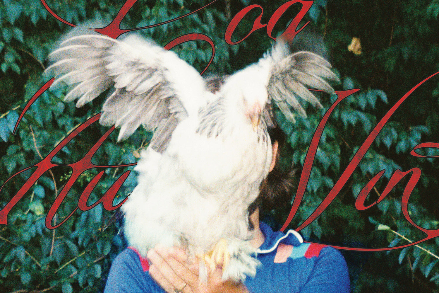 Junior Pro Serves Up a Cinematic Slice of Hope with 'Coq au Vin'