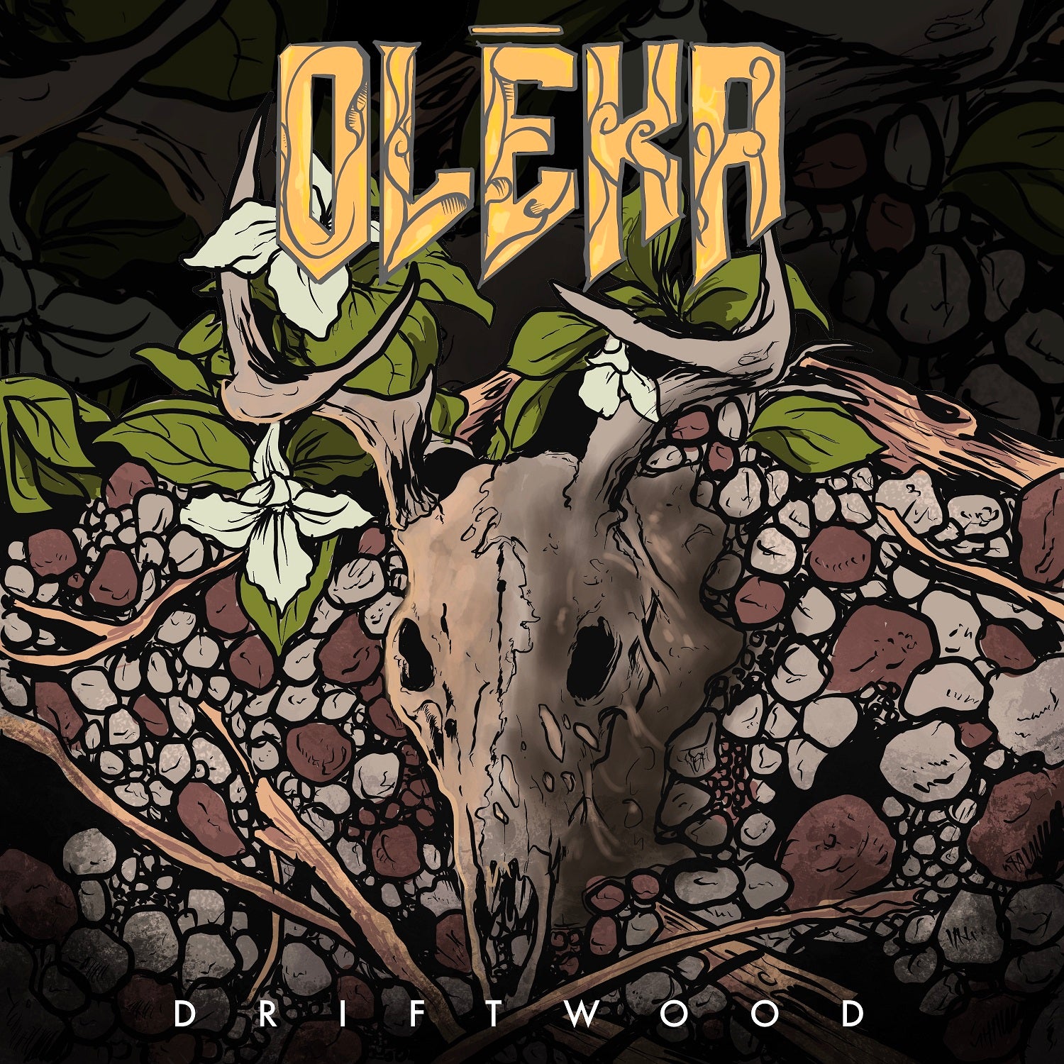 An Interview with Olēka