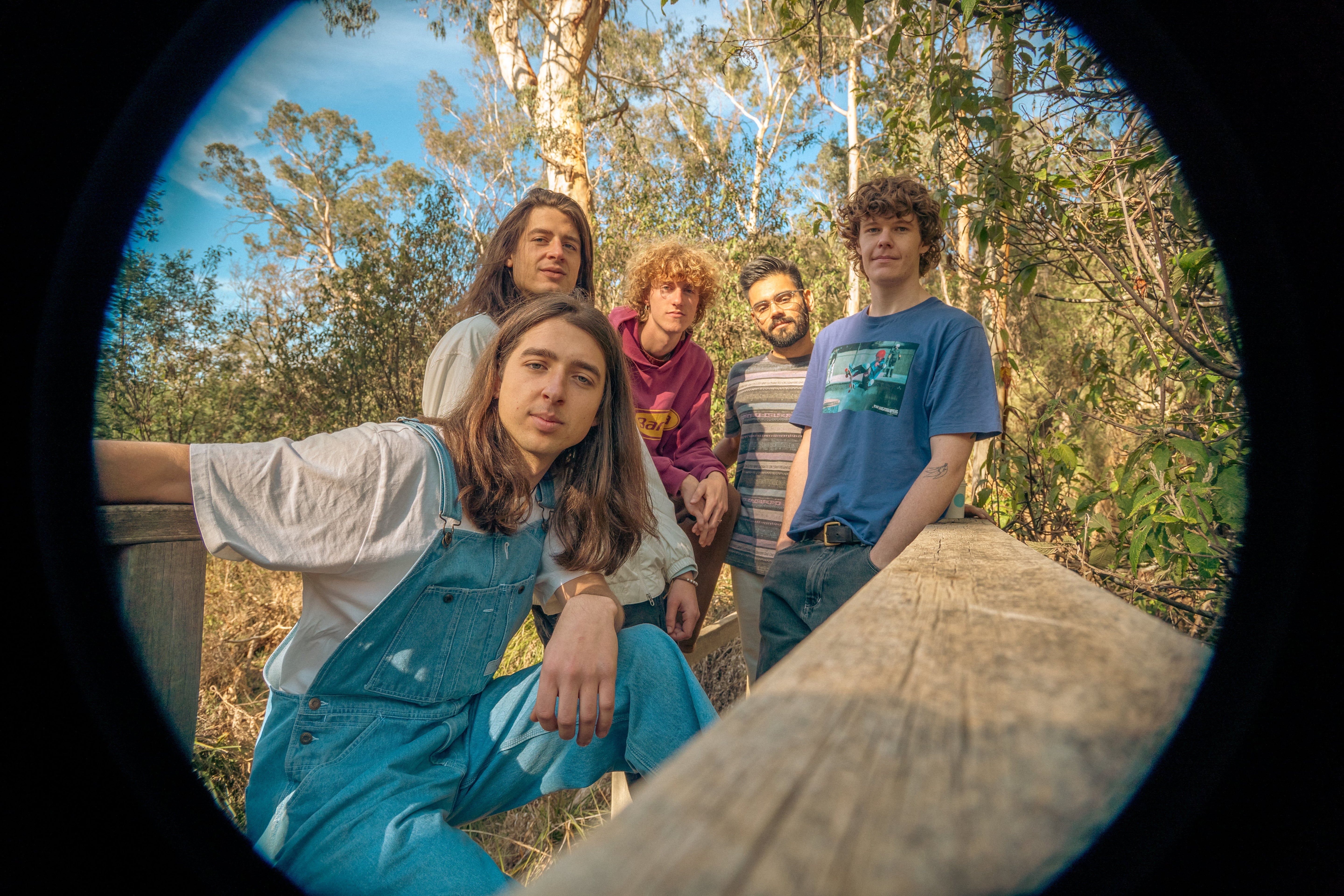 Powder Blue's 'Reaching Towards the Sun' Is A Radiant Debut