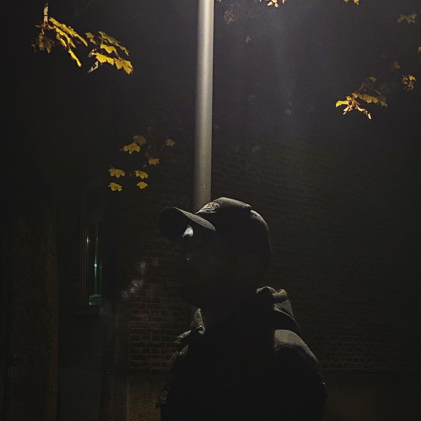 An Interview with Magnus Mason