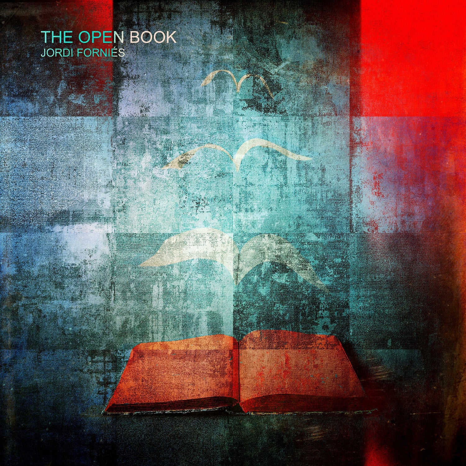 Jordi Fornies – 'The Open Book'