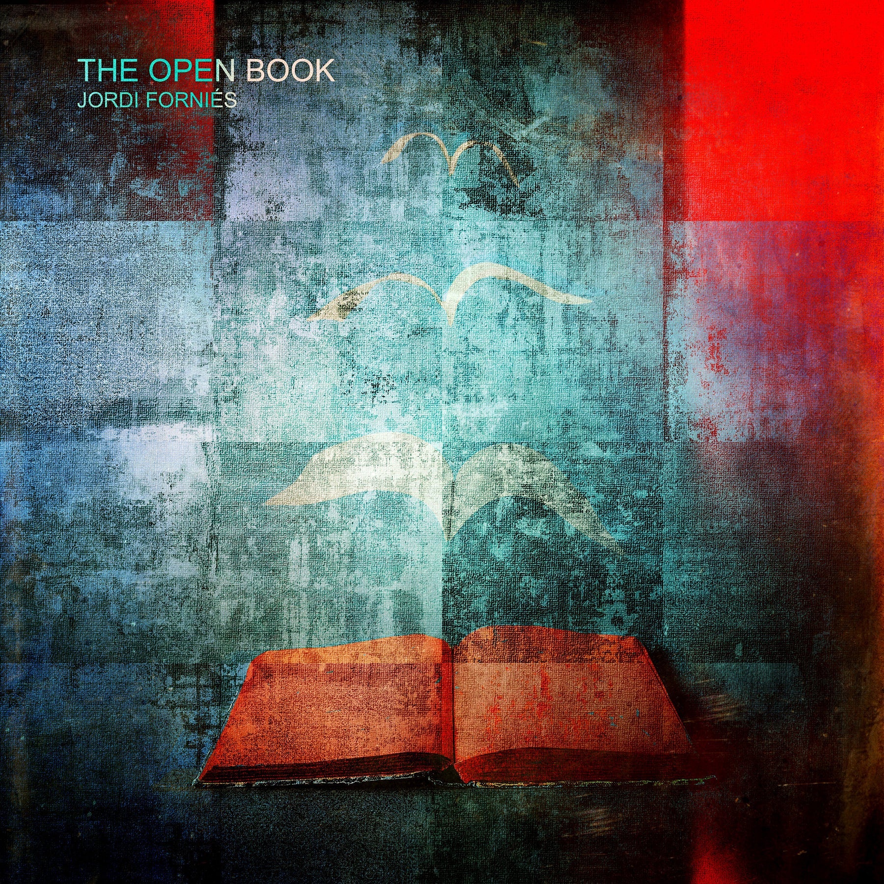 Jordi Fornies – 'The Open Book'