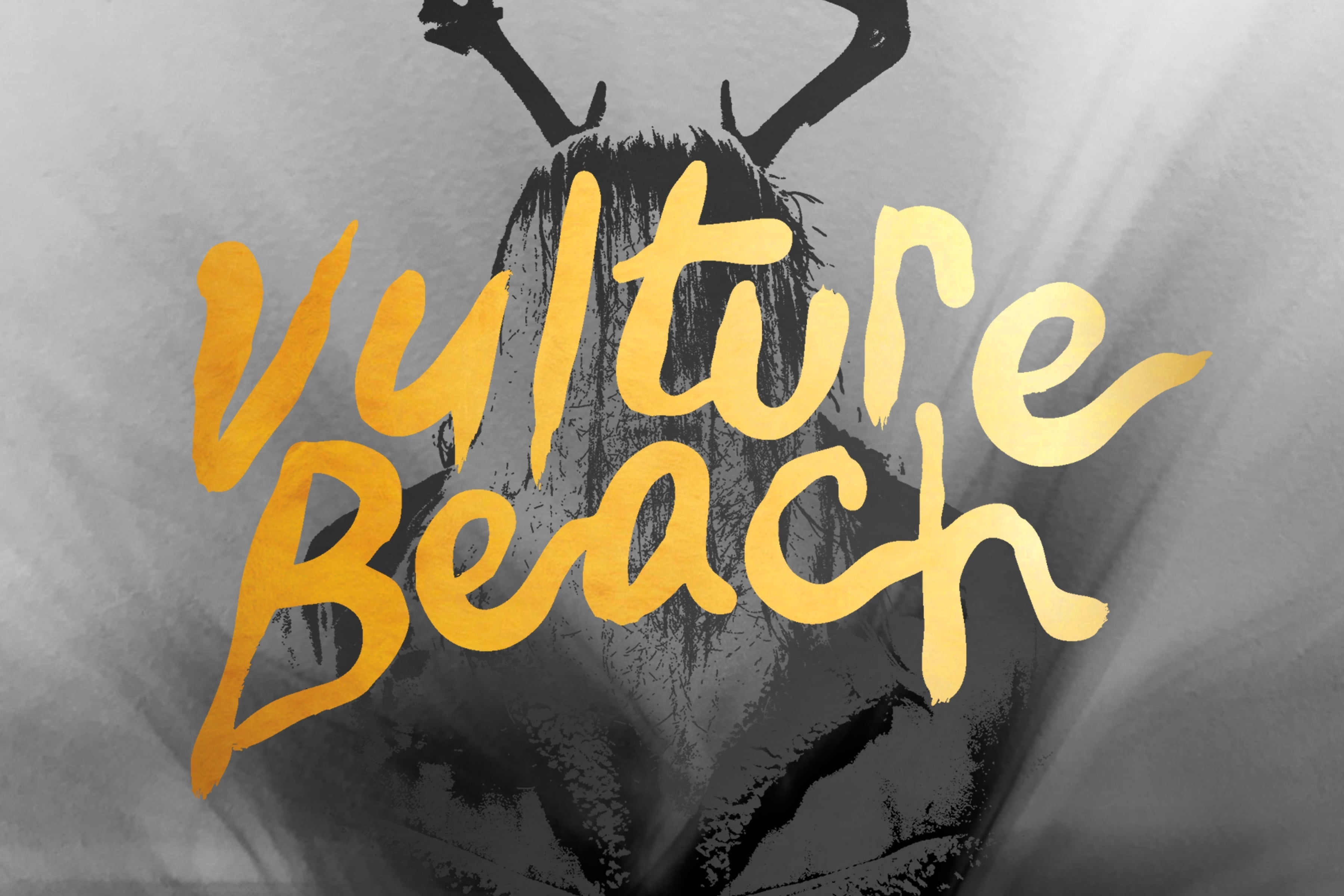 Vulture Beach’s ‘Idyll’ is a Brazen Collision of Rock and EDM