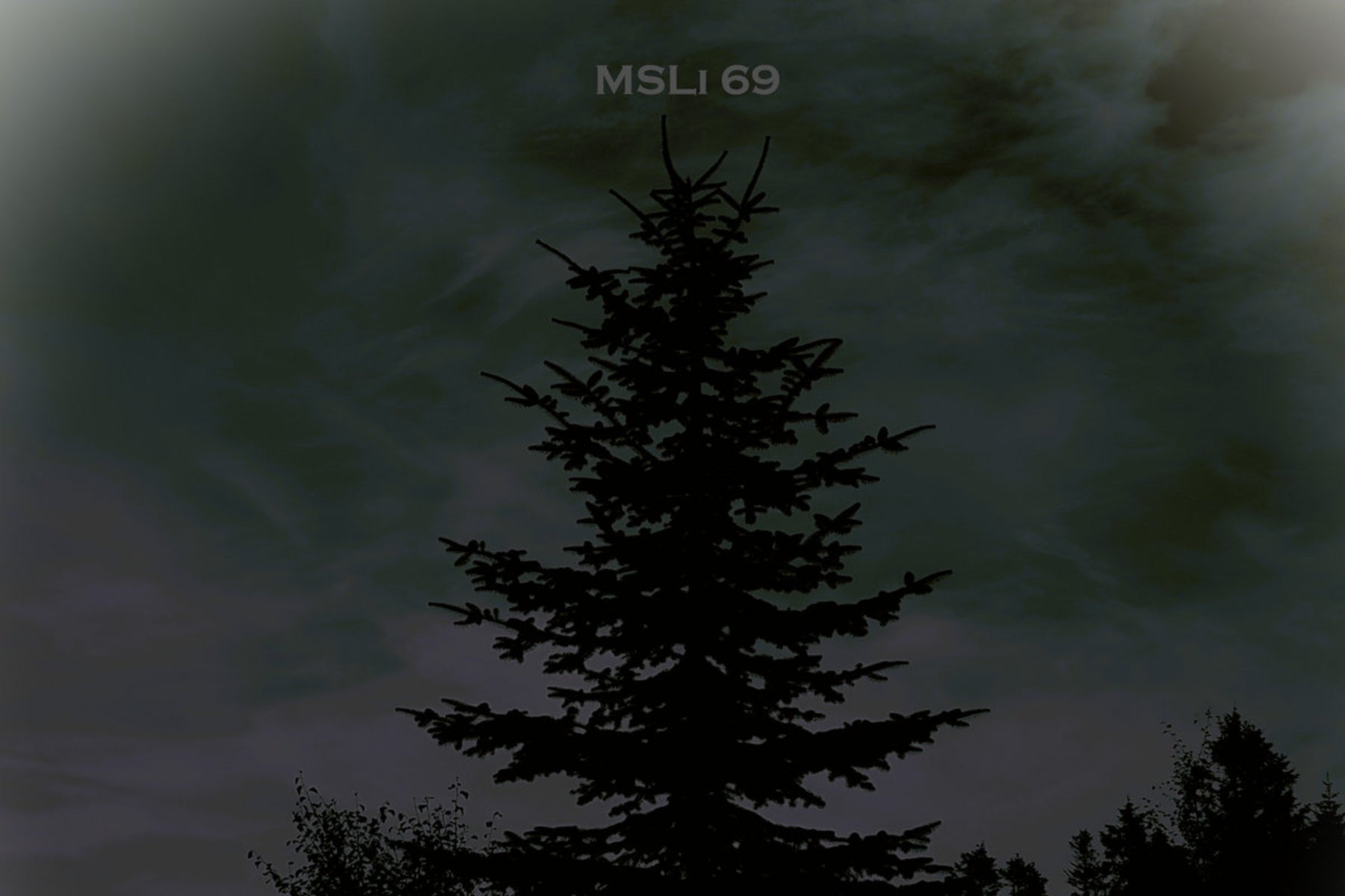 MSLi 69’s ‘Tree’ is a Monument to Raw, Analog Terror