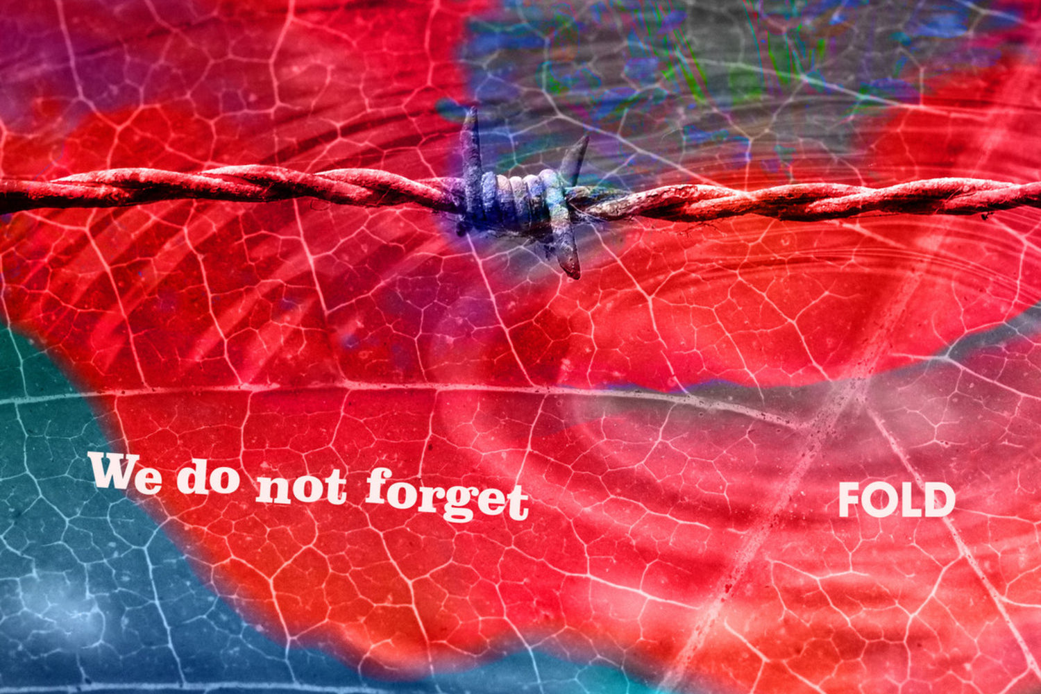 Fold Dig Deep on Their Fourth Major Release, 'We Do Not Forget'