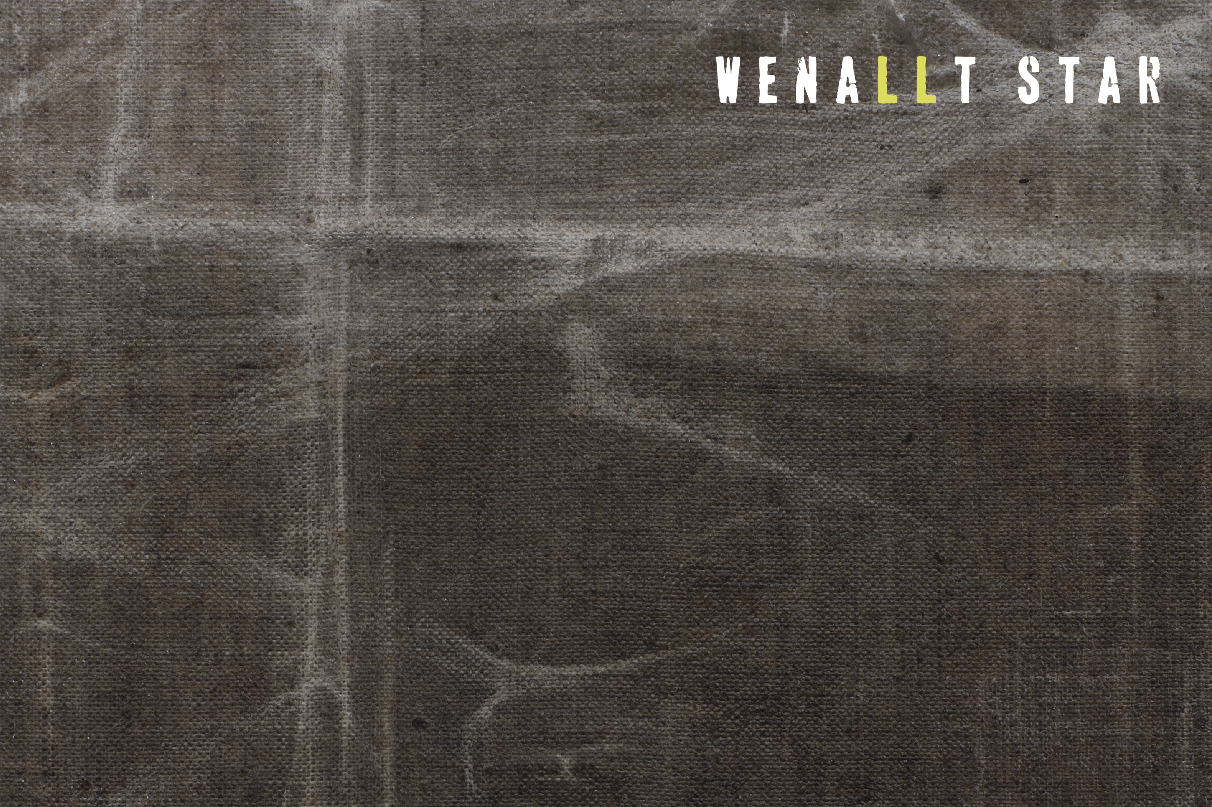 Wenallt Star’s Literary Alchemy Shine on New Album