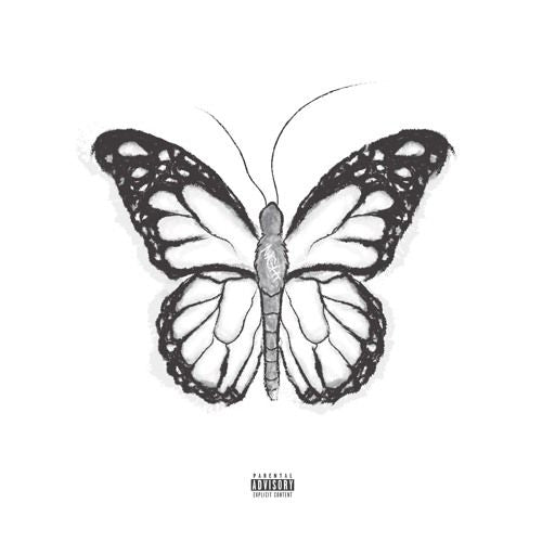 Naldooo – 'NIGHTBUTTERFLY'