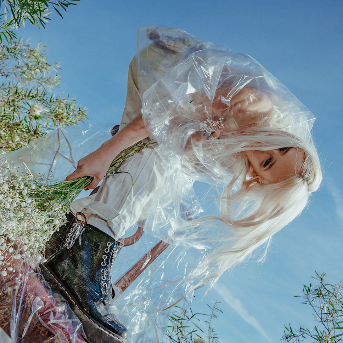 Skofee - 'I'm Sorry I Killed Your Plant'