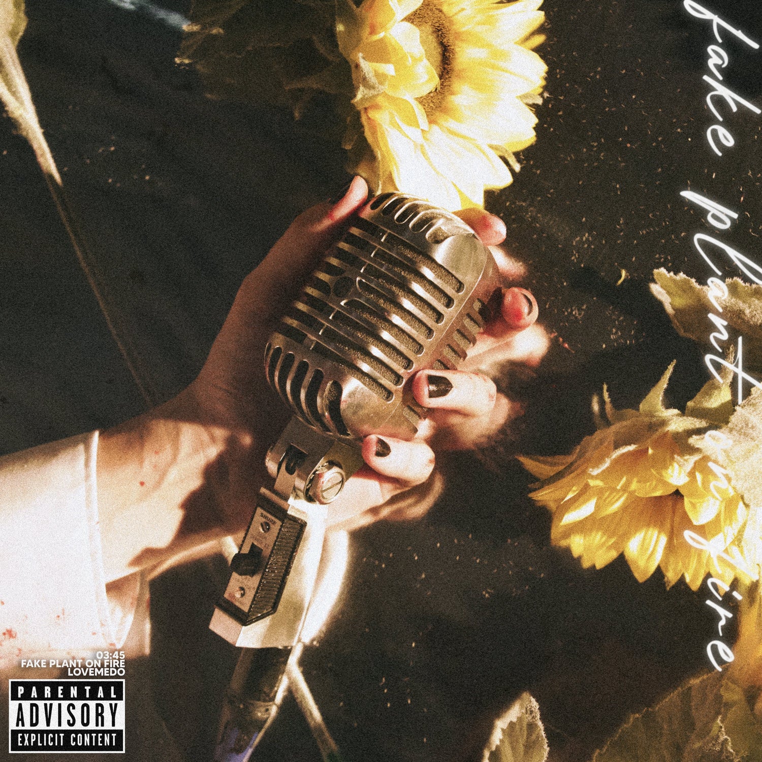 Sydney’s lovemedo is back with his next single ‘Fake Plant on Fire’