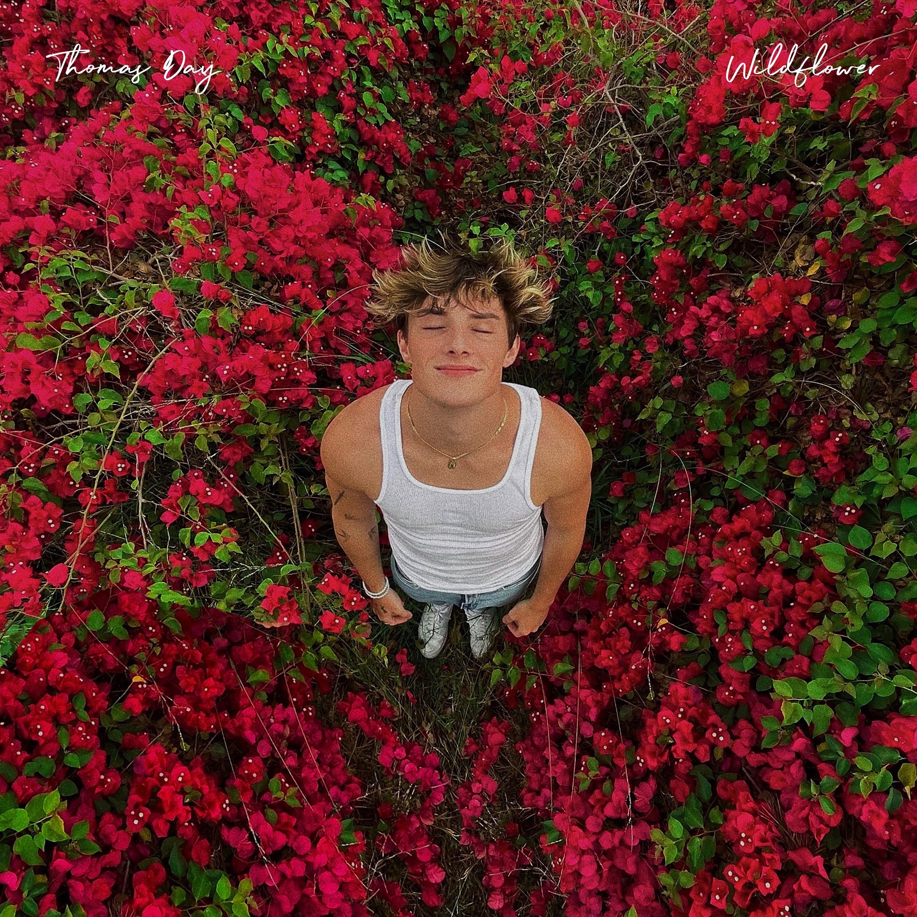 Thomas Day - 'Wildflower'