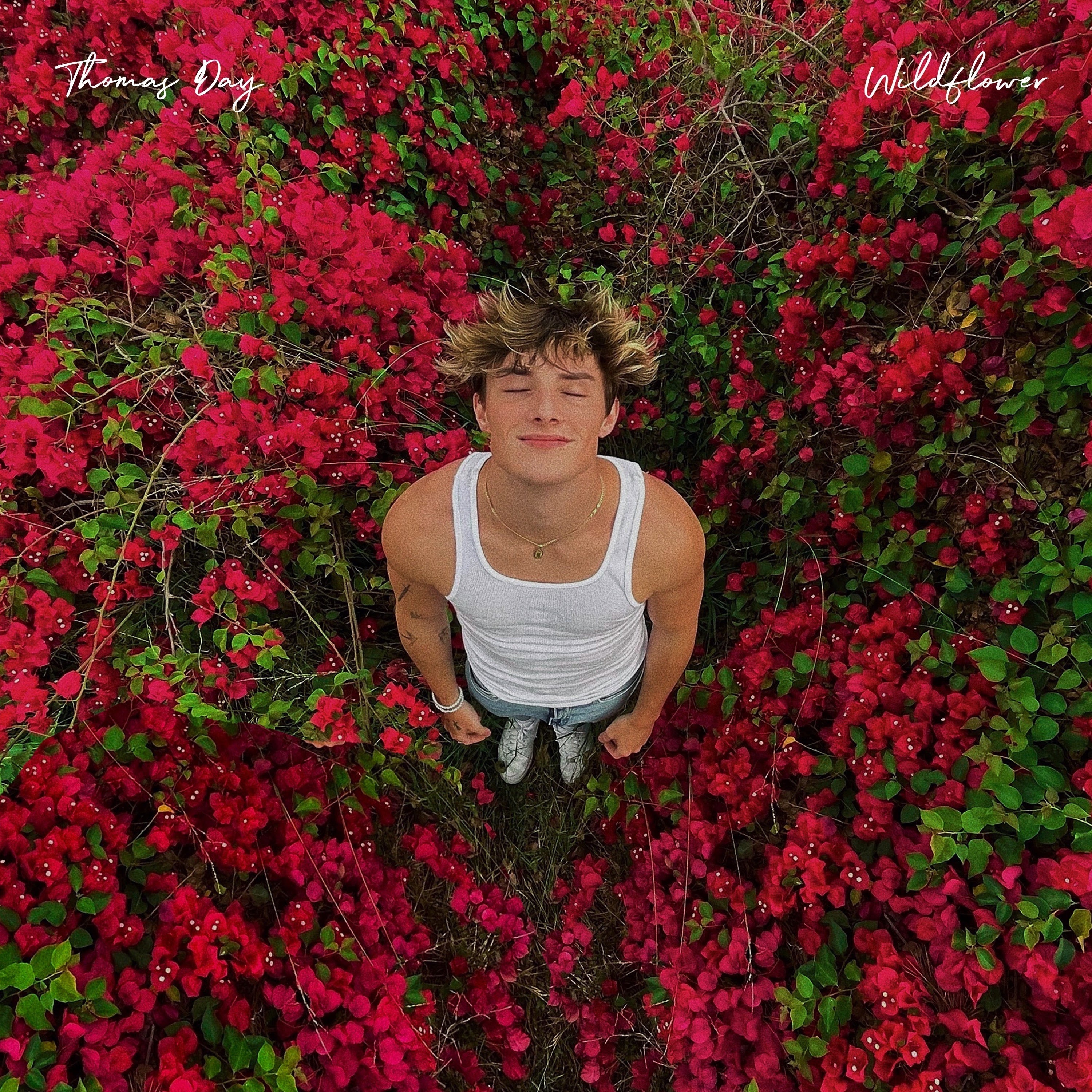 Thomas Day - 'Wildflower'