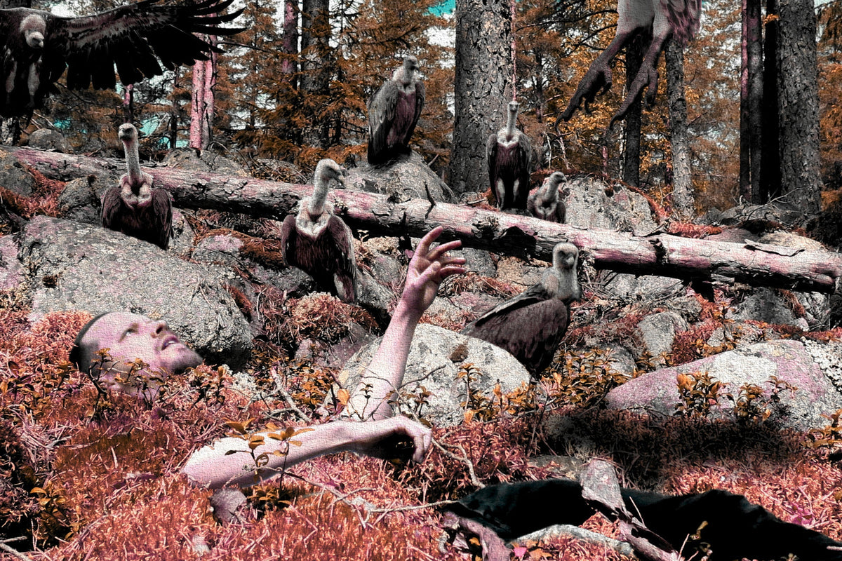 Teri Mantere Soars Through the Shadows on Double Single ‘Vultures’