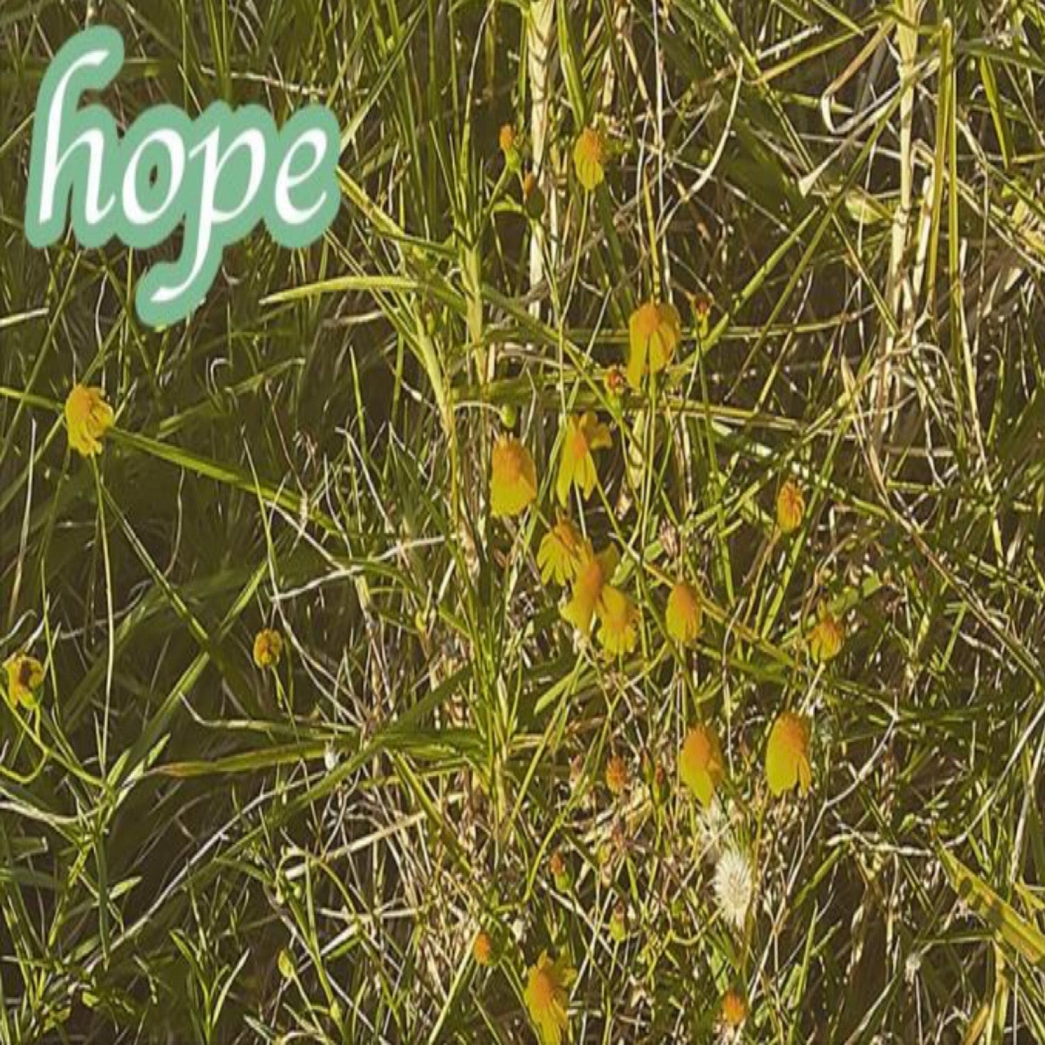 Sydney’s H4rd5tuck revel in alt-pop vibes with sleek sophomore single ‘Hope’