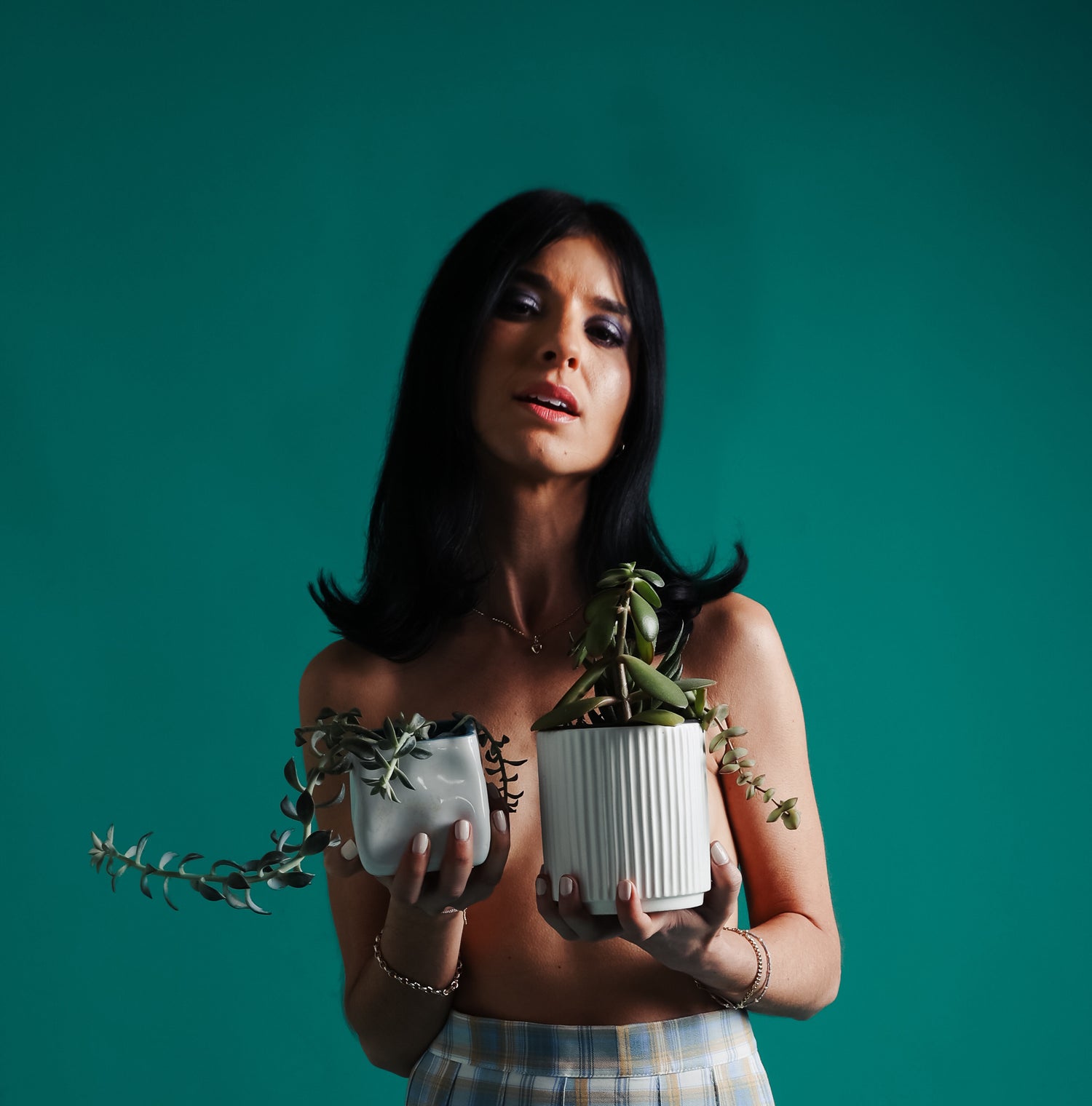 Skyuka - 'Houseplants'
