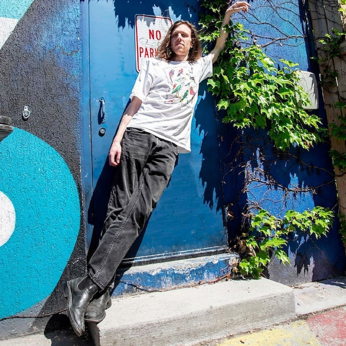 Dave Monks – ‘Wild Like Me’
