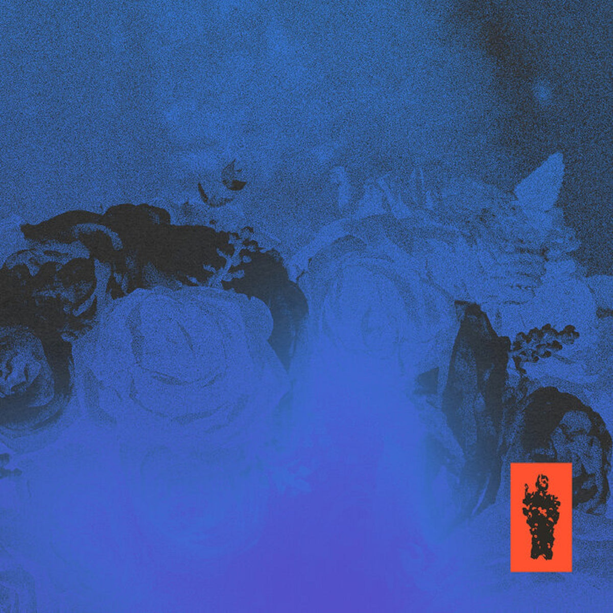 Treasure Bloom – ‘Feelings, Pt. II’