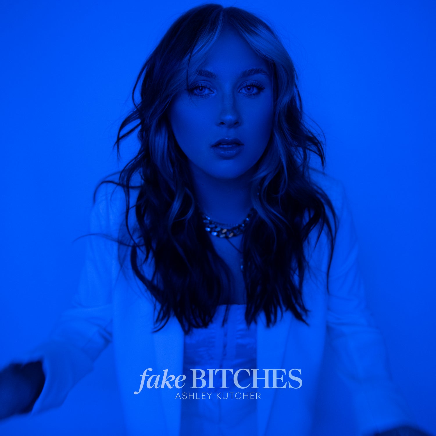 Ashley Kutcher – ‘Fake Bitches’