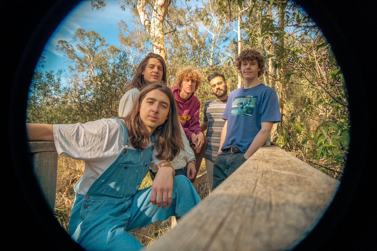 Powder Blue's 'Reaching Towards the Sun' Is A Radiant Debut