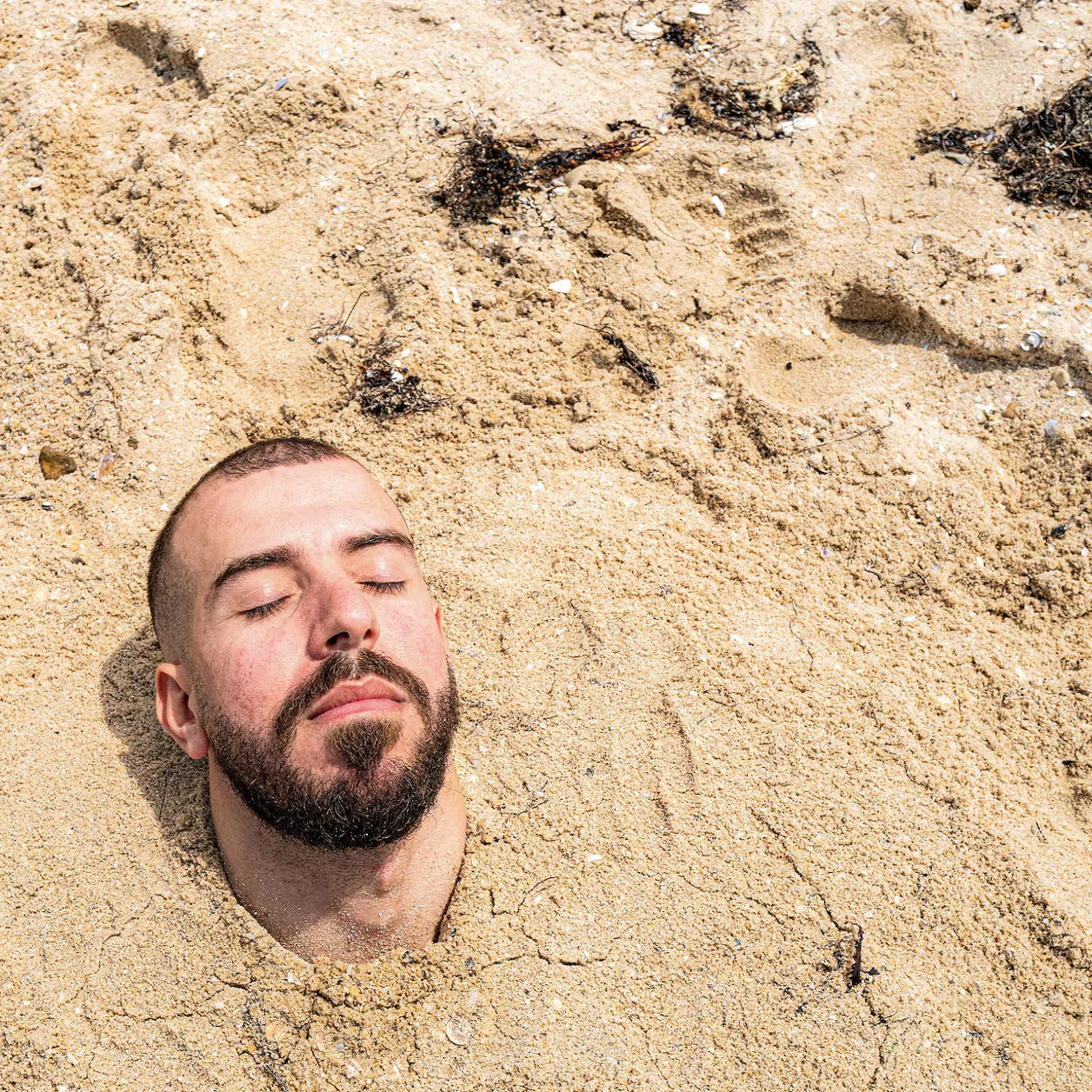 Dann Dib - 'Heart of Gold'