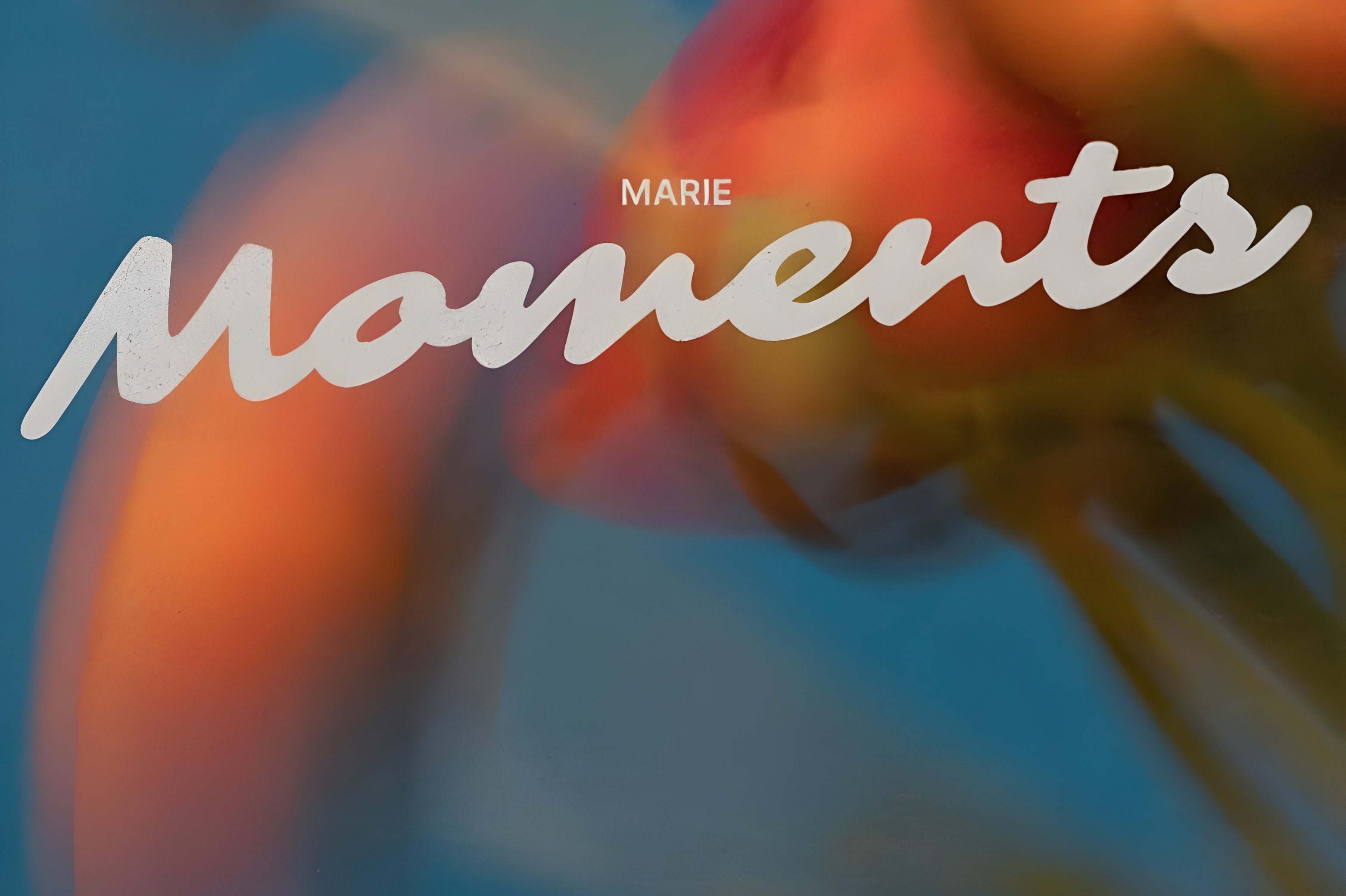 marie's 'Moments' Captures Life's Ephemeral Beauty
