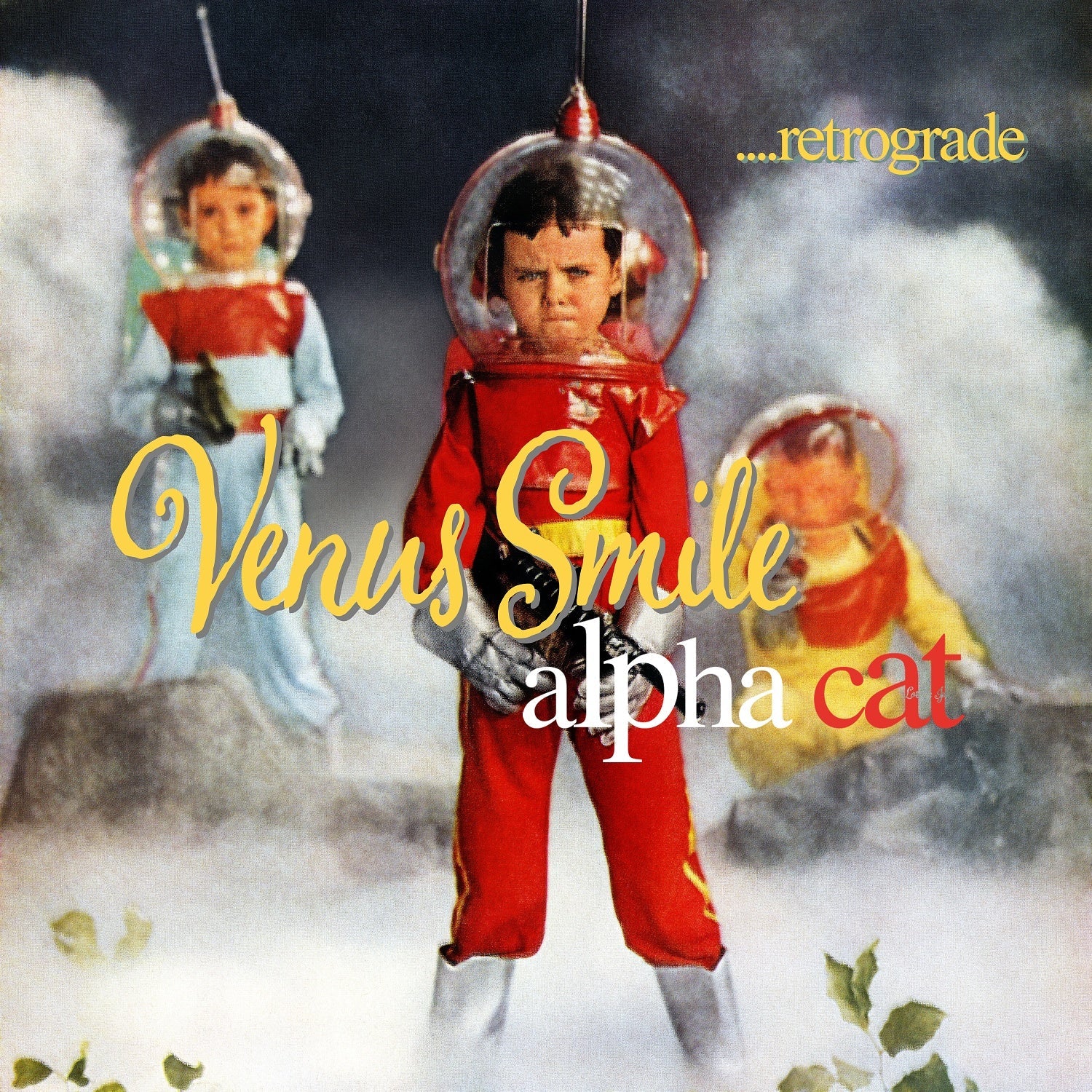 Alpha Cat – ‘Venus Smile... Retrograde’