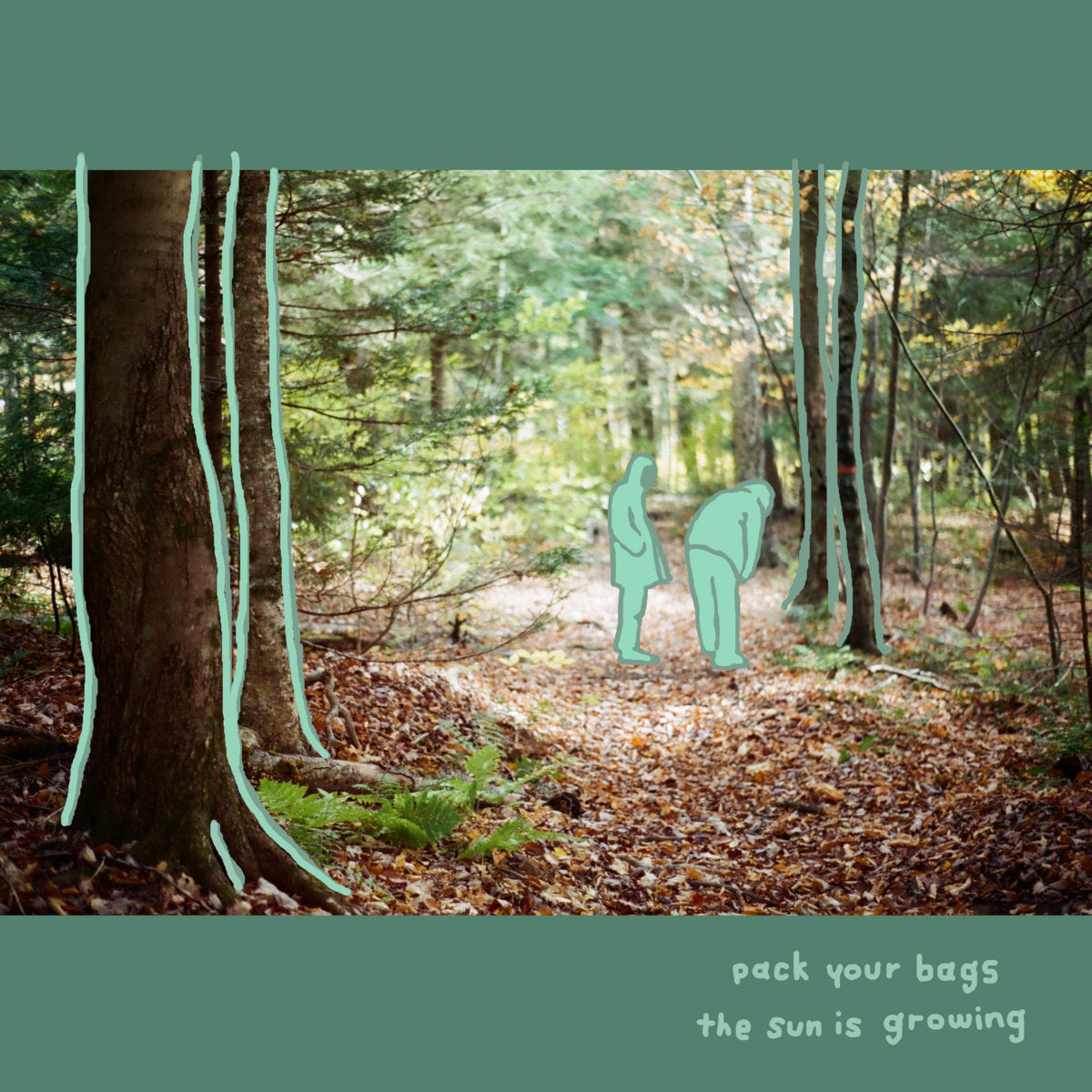 bedbug soars with their new album, evolving from DIY darlings to a true indie rock force