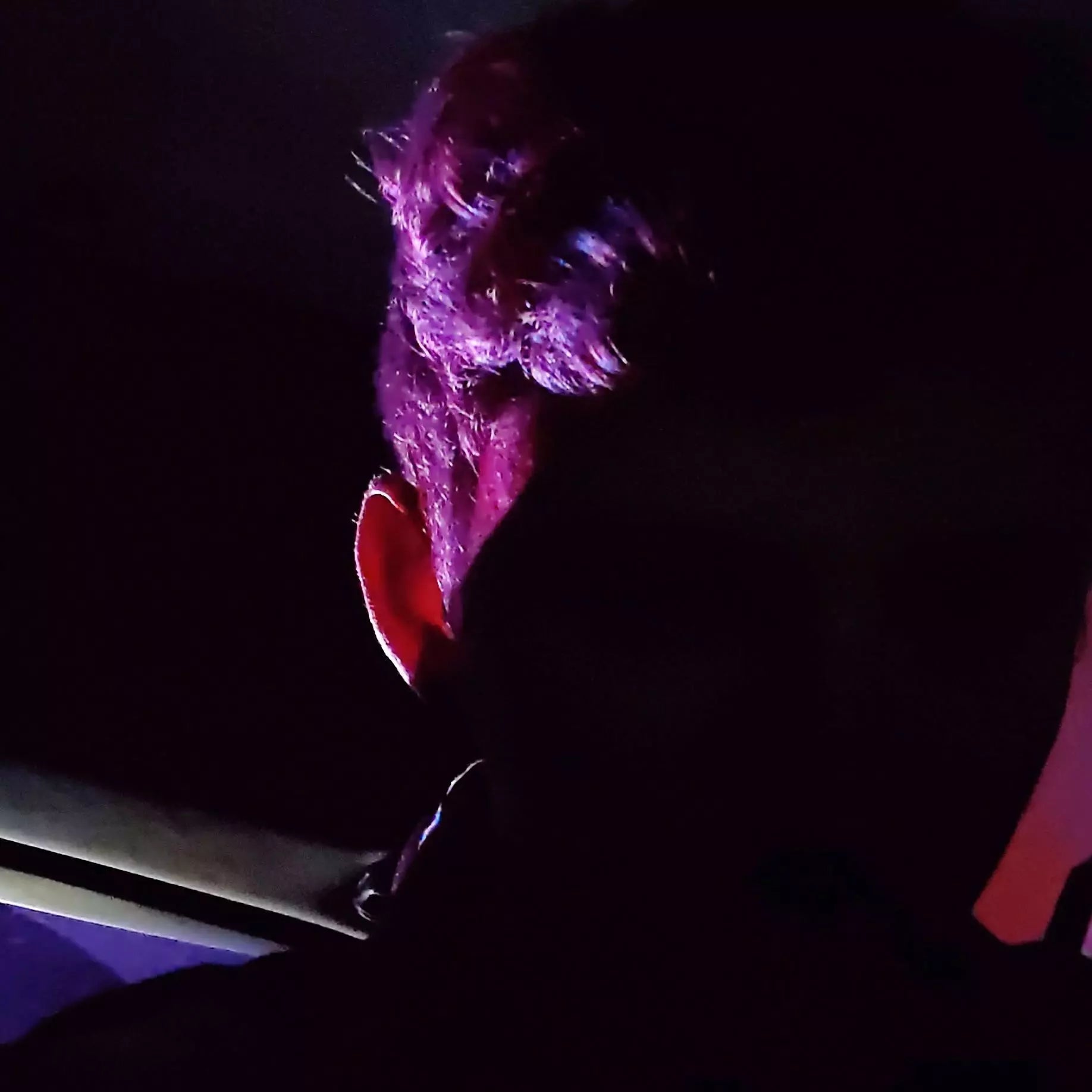 Rising rapper SwitchTaKill delivers a career-defining performance on ‘I’ll Make It’