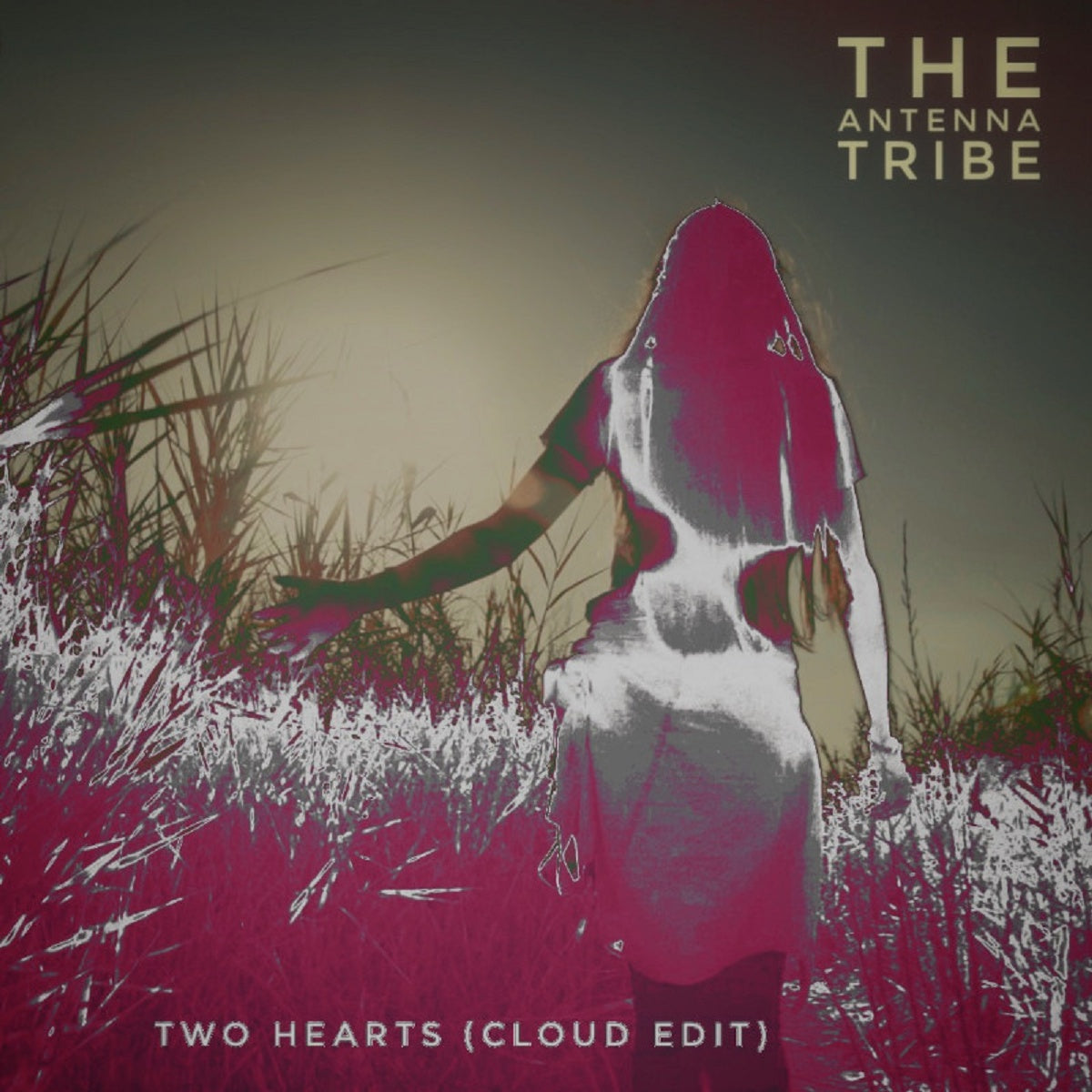 The Antenna Tribe – ‘Two Hearts (Cloud Edit)’