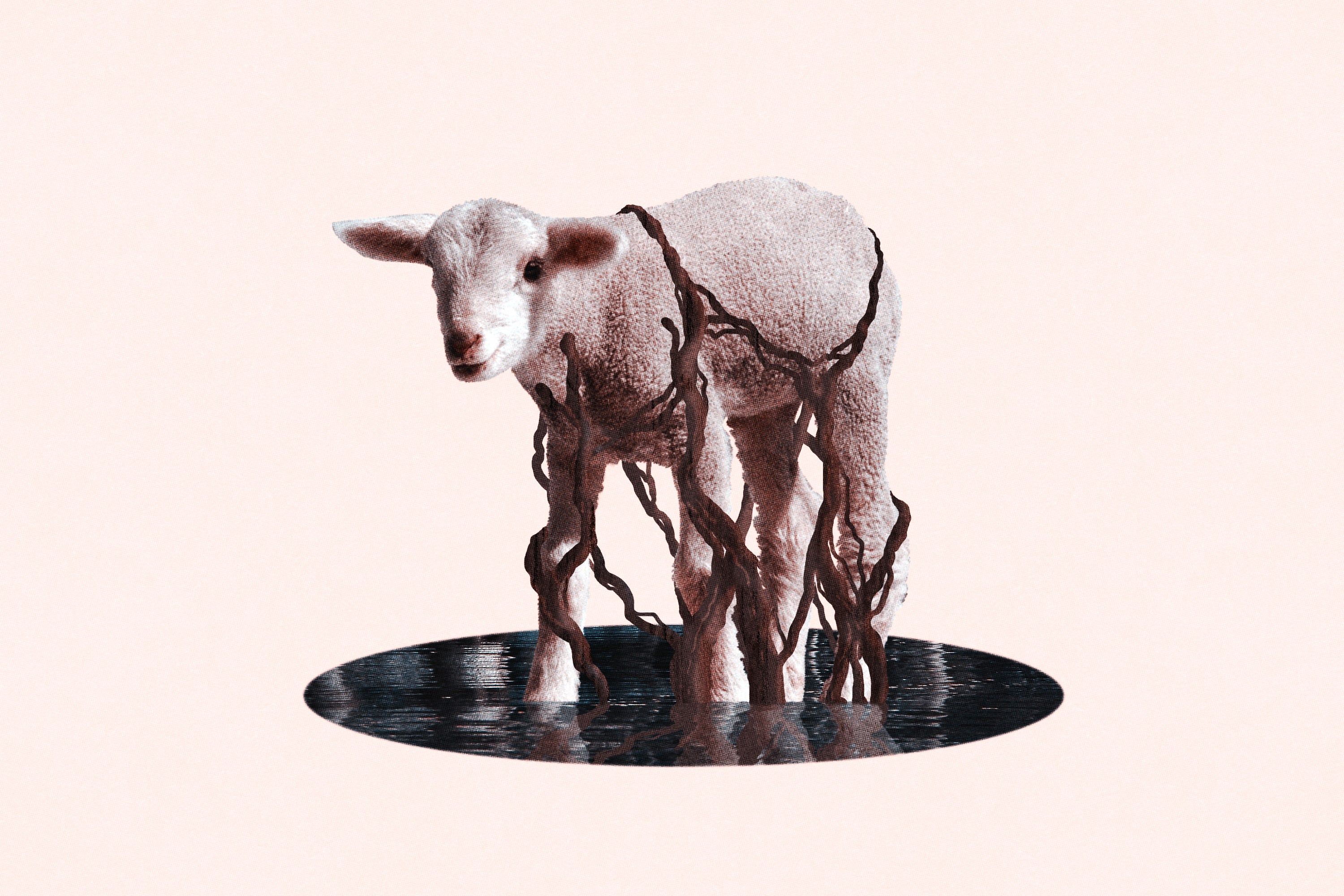 END! Begin Share Their Self-Titled Meditative Masterpiece
