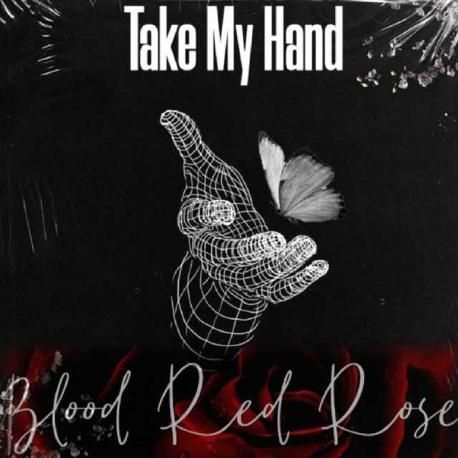 Blood Red Rose – ‘Take My Hand’