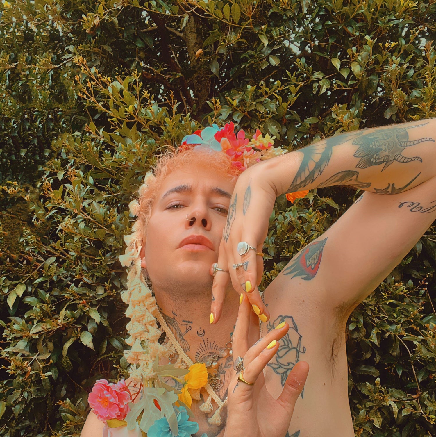 Indie artist WCB sprinkles pop magic on 'Picnics & Liquor' with new single and video