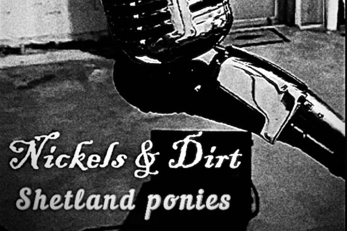 Nickels & Dirt Defy Genre Boundaries On The Smouldering ‘Shetland Ponies’