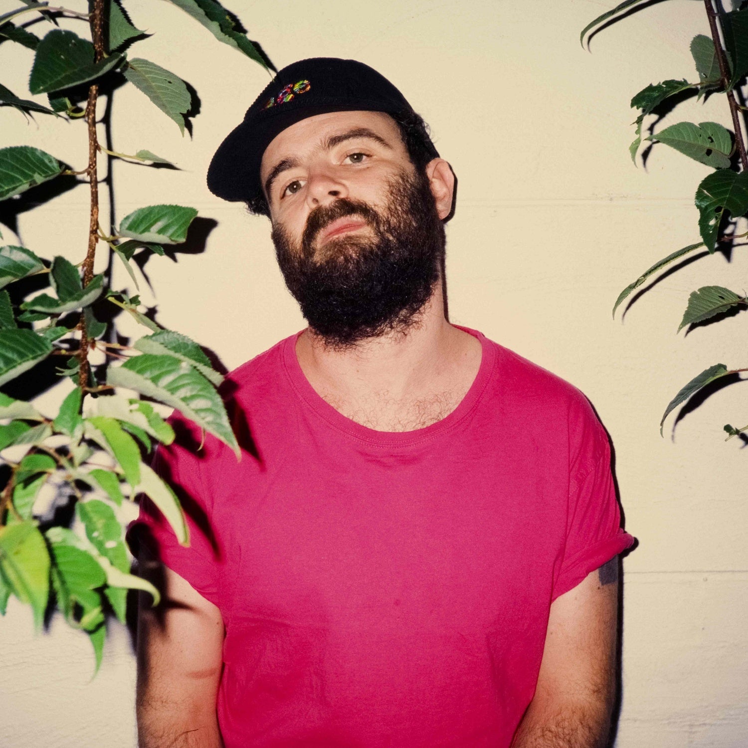 Dinosaur Beard - ‘Translucent Skin’